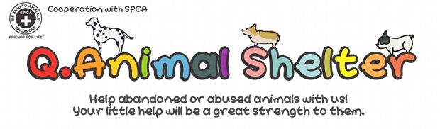 Qoo10 Singapore QAnimal Shelter
